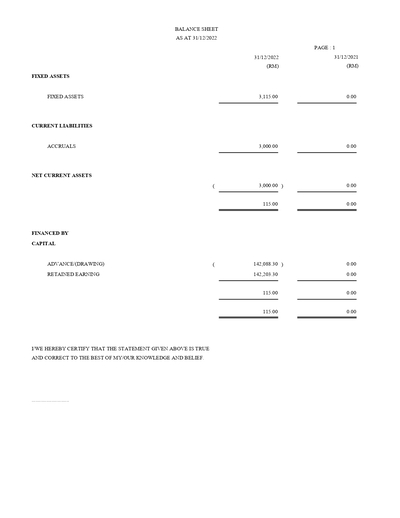 BALANCE SHEET - COMPANY ENTERPRISE
