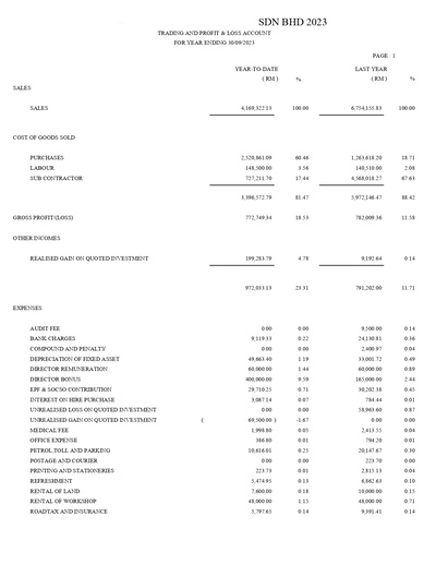 PROFIT & LOSS - COMPANY SDN BHD