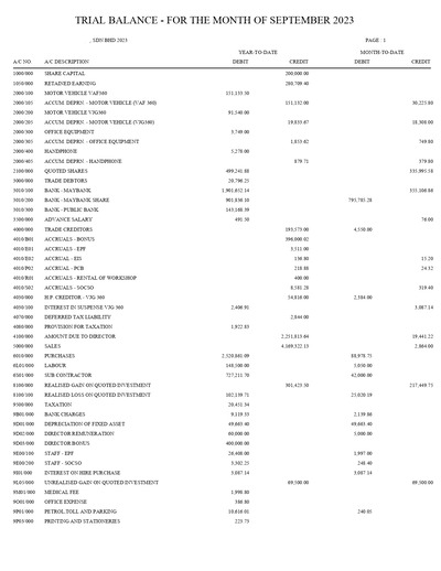 TRIAL BALANCE - COMPANY SDN BHD